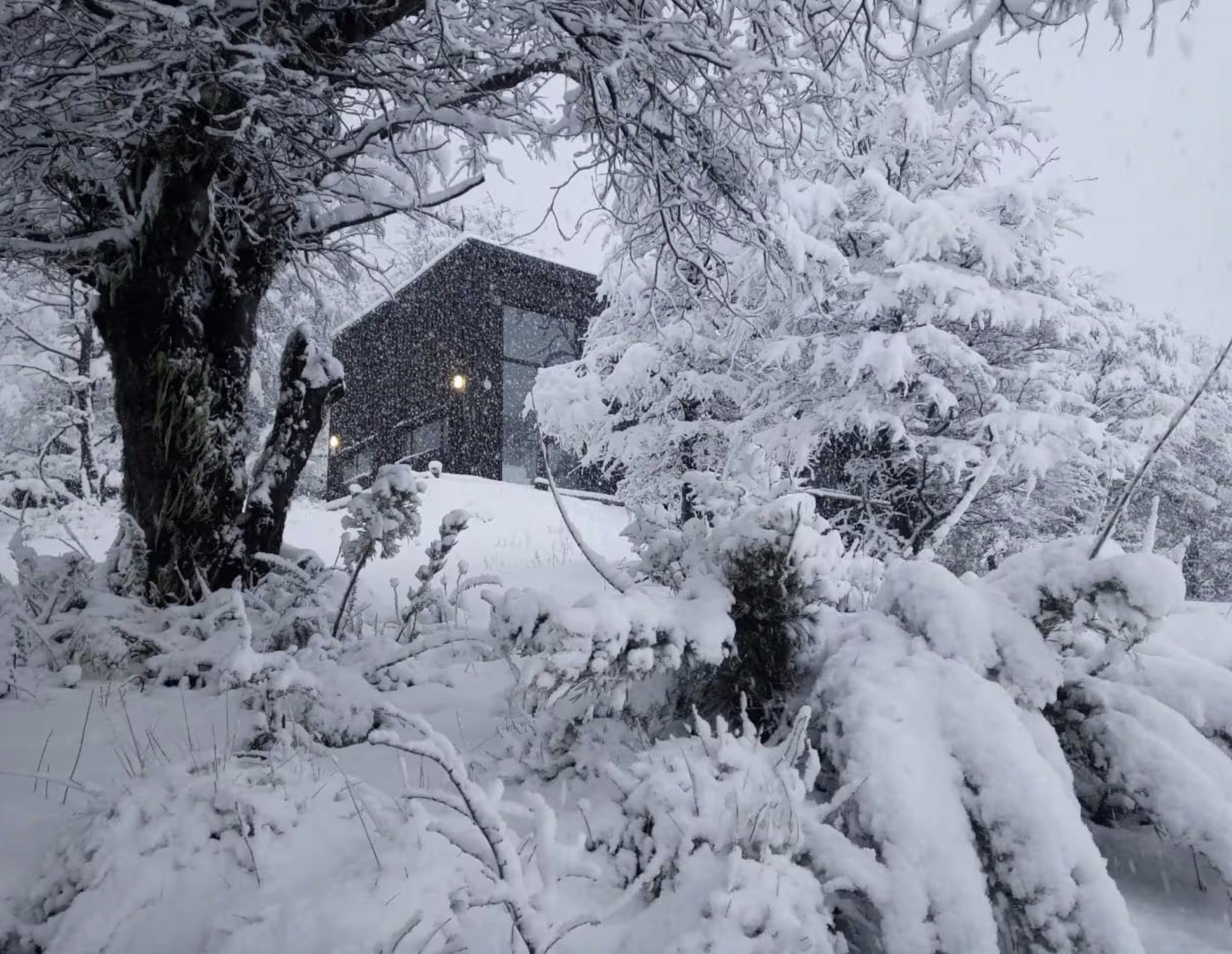 Chalé entre árvores cobertas de neve